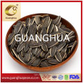 New Crop Sunflower Seeds for Exporting